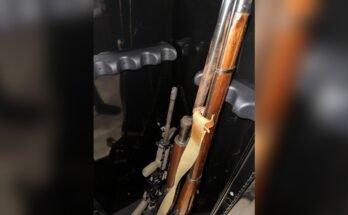 Can Rifles Rust Inside a Safe?