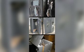 Can Thieves Crack a Rifle Safe?