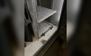 Do Rifle Safes Need Dehumidifiers?