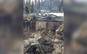 How Long Can a Rifle Safe Withstand Fire?