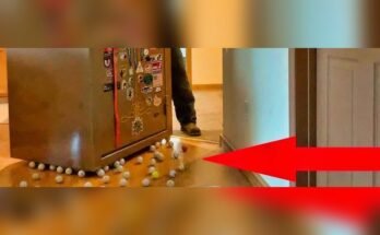 How to Move a Heavy Rifle Safe?