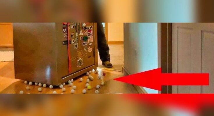 How to Move a Heavy Rifle Safe?