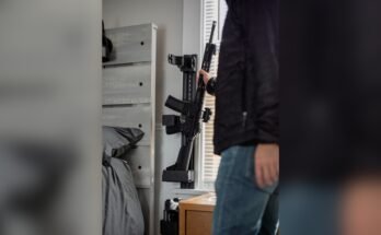 What is a Wall-Mounted Rifle Safe?