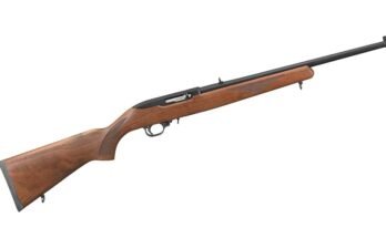 How Much Does A Carbine Safe Cost