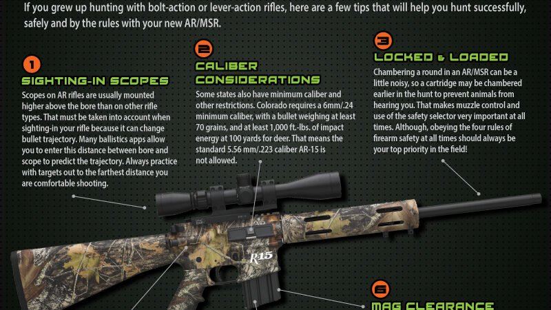 What Is A Carbine Safe Used For