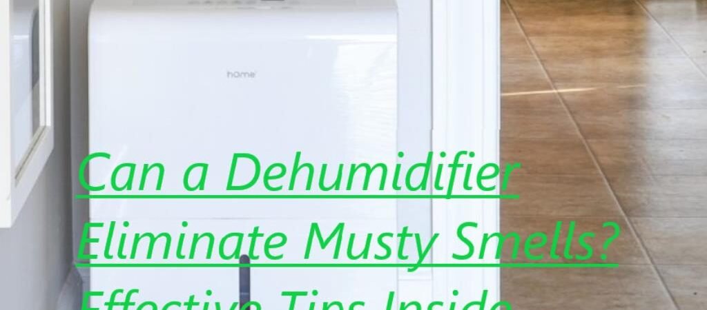 Can a Dehumidifier Eliminate Musty Smells
