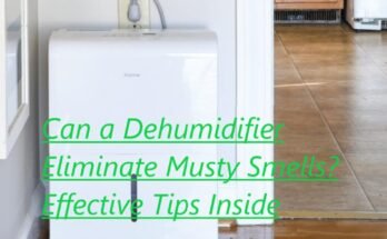 Can a Dehumidifier Eliminate Musty Smells
