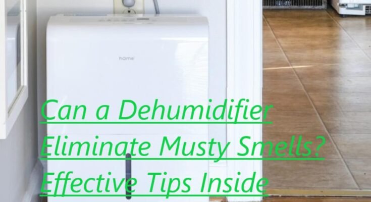Can a Dehumidifier Eliminate Musty Smells