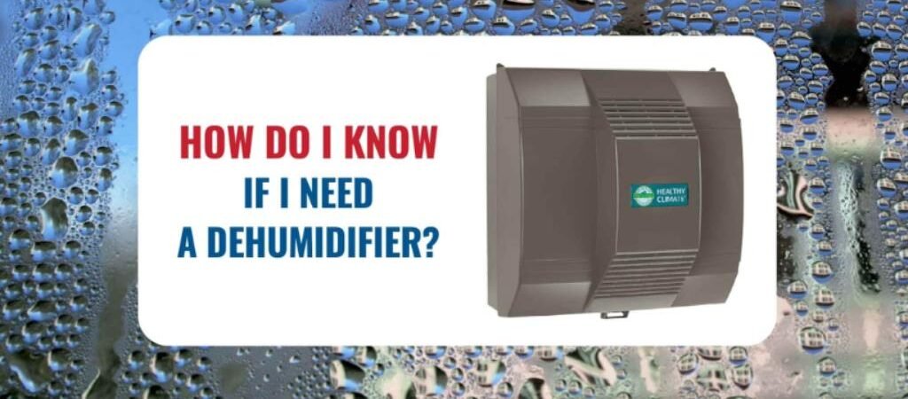 How Do I Know If I Need a Dehumidifier