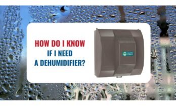 How Do I Know If I Need a Dehumidifier