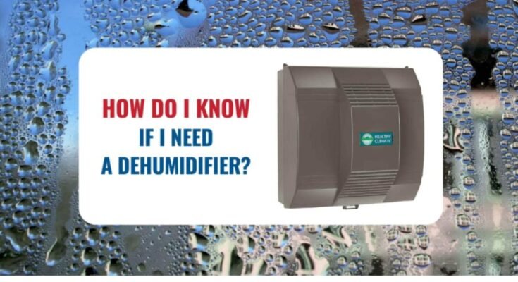 How Do I Know If I Need a Dehumidifier