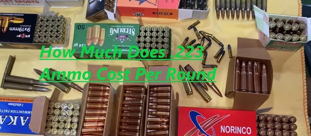 How Much Does .223 Ammo Cost Per Round