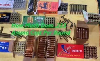 How Much Does .223 Ammo Cost Per Round