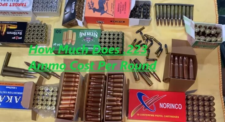 How Much Does .223 Ammo Cost Per Round