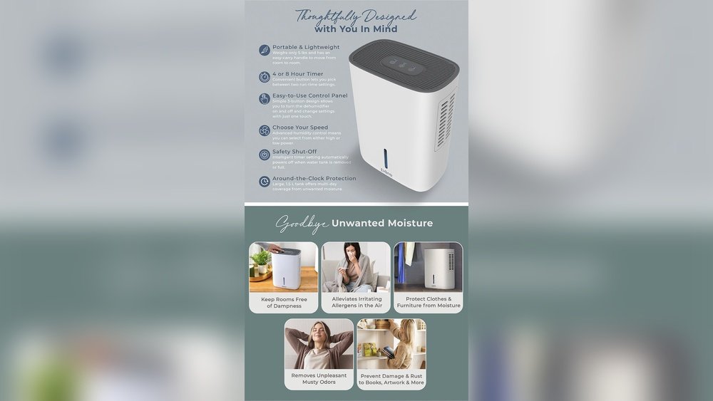 Are Dehumidifiers Safe to Run All Day?