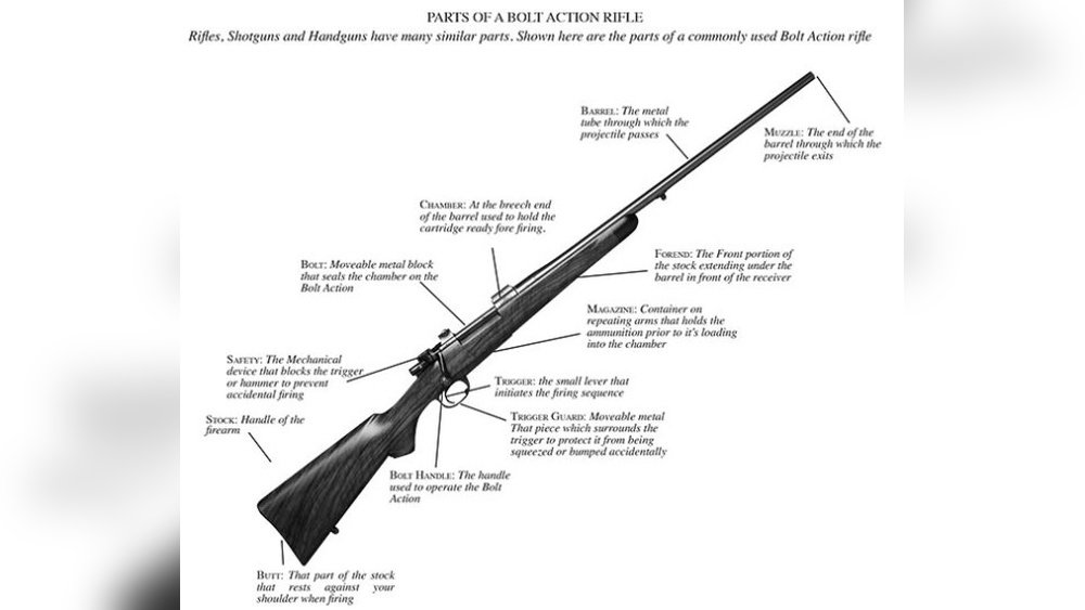 Can .223 Ammo Be Used in Bolt-Action Rifles