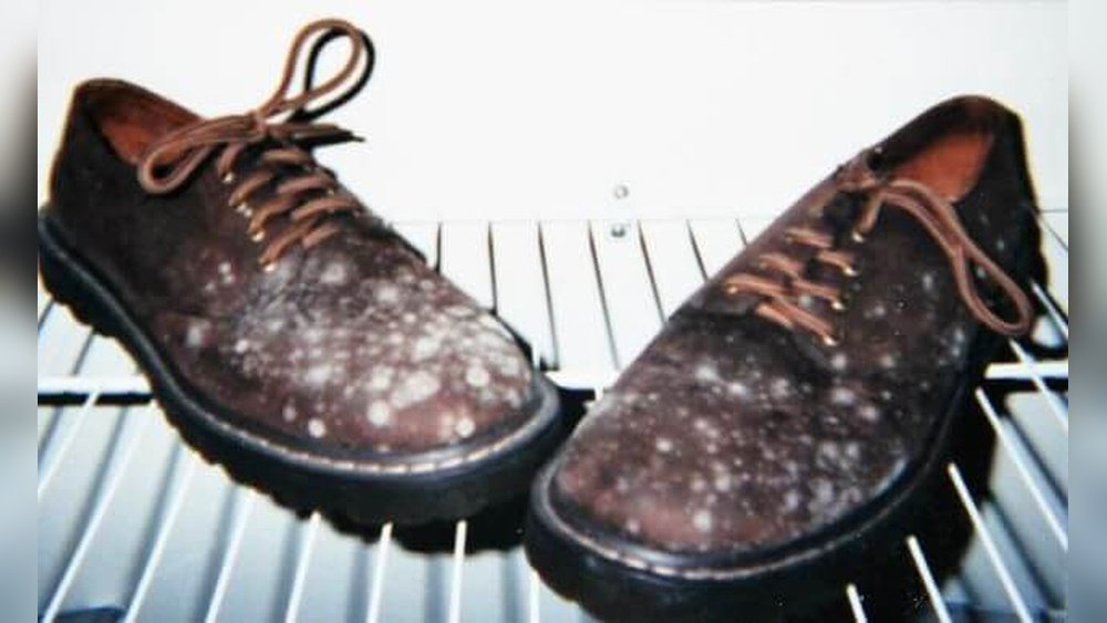 Can Silica Gel Prevent Mold Growth in Storage?