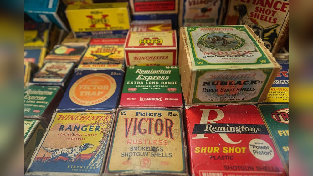 Do Shotgun Shells Go Bad If Not Stored Correctly?