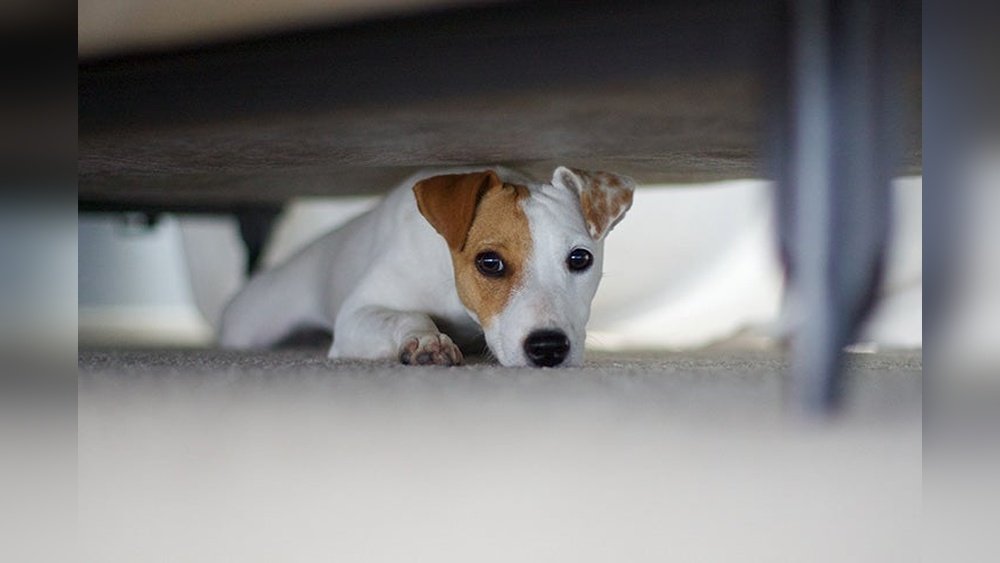 How Do I Hide an Under-Bed Safe Effectively?