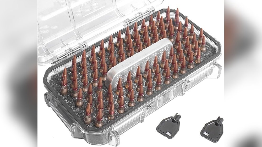 How to Check If .223 Ammo is Still Good After Long-Term Storage