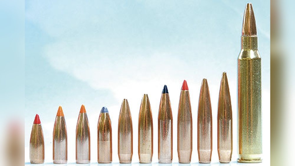 How to Organize .223 Ammo by Grain And Type