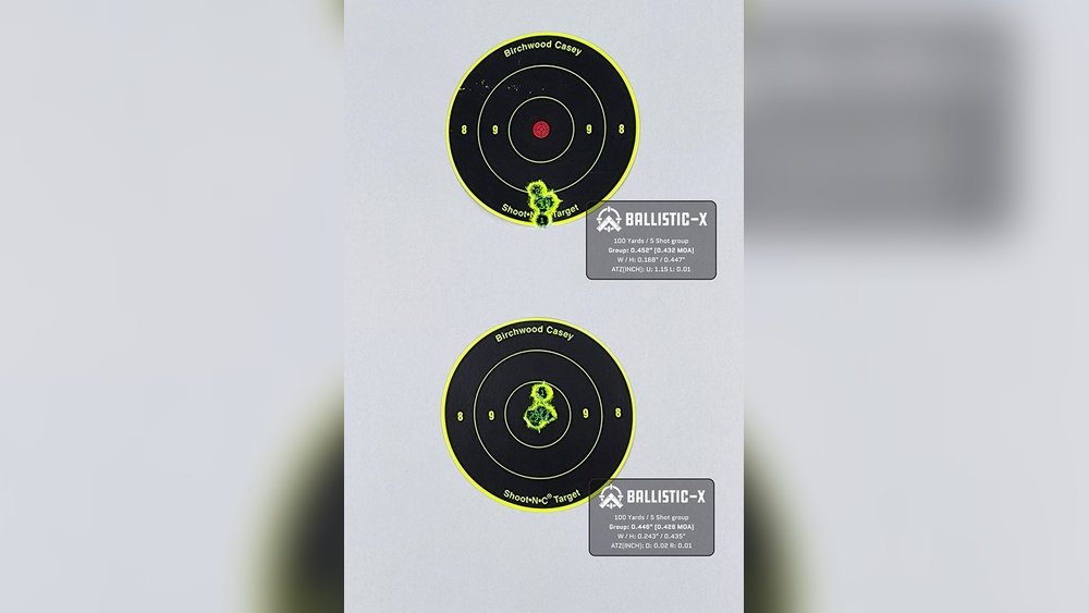 What is the Best .223 Ammo for 100-Yard Target Practice