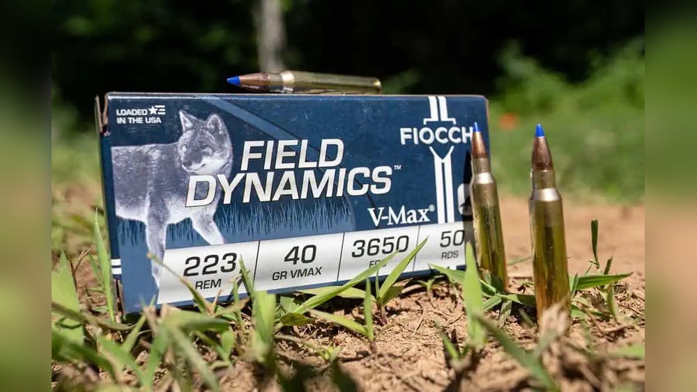 What is the Best .223 Ammo for Small Game Hunting