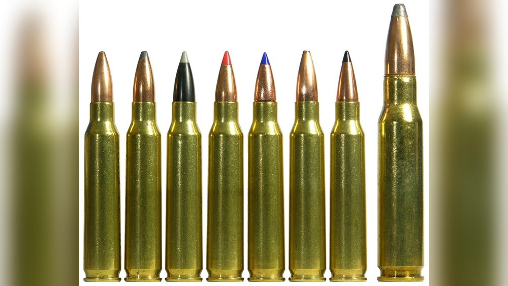 What is the Most Common Caliber for .223 Ammo Rifles