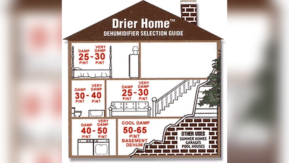 What Size Dehumidifier Do I Need for My Room?