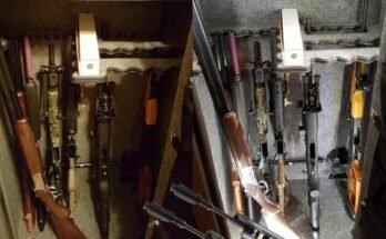 Best Led Strip Light Kit For Gun Safes