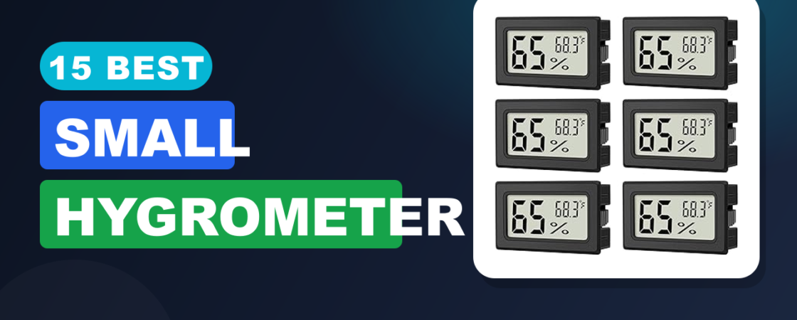 15 Best Small Hygrometer
