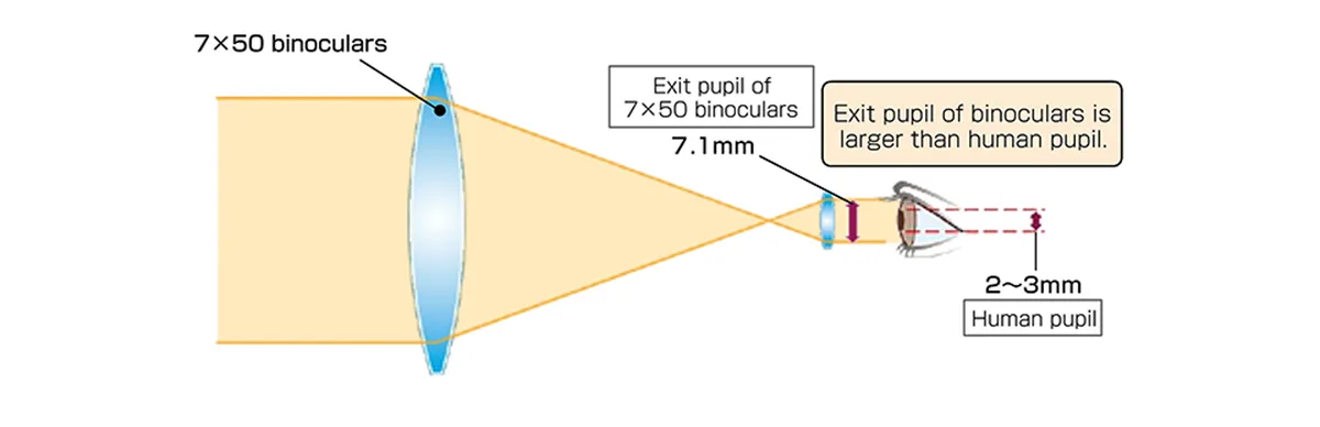 exit pupil size