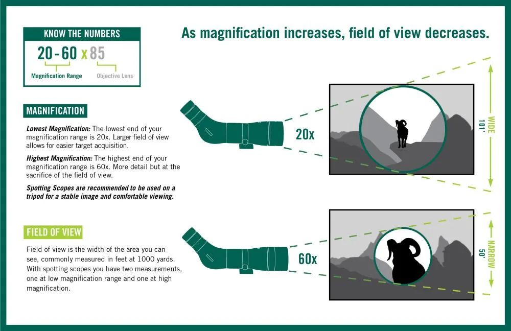 field of view magnification